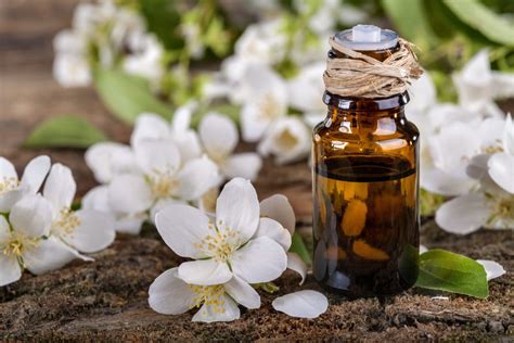 Jasmine Essential Oil .